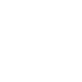 Logo Demo